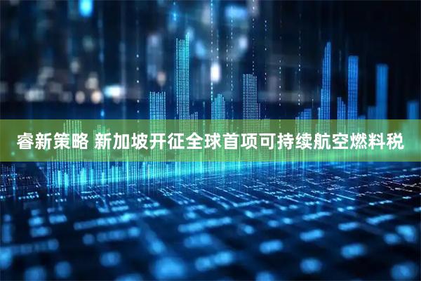 睿新策略 新加坡开征全球首项可持续航空燃料税