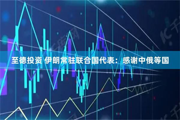 至德投资 伊朗常驻联合国代表：感谢中俄等国