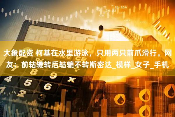 大象配资 柯基在水里游泳，只用两只前爪滑行。网友：前轱辘转后轱辘不转斯密达_模样_女子_手机